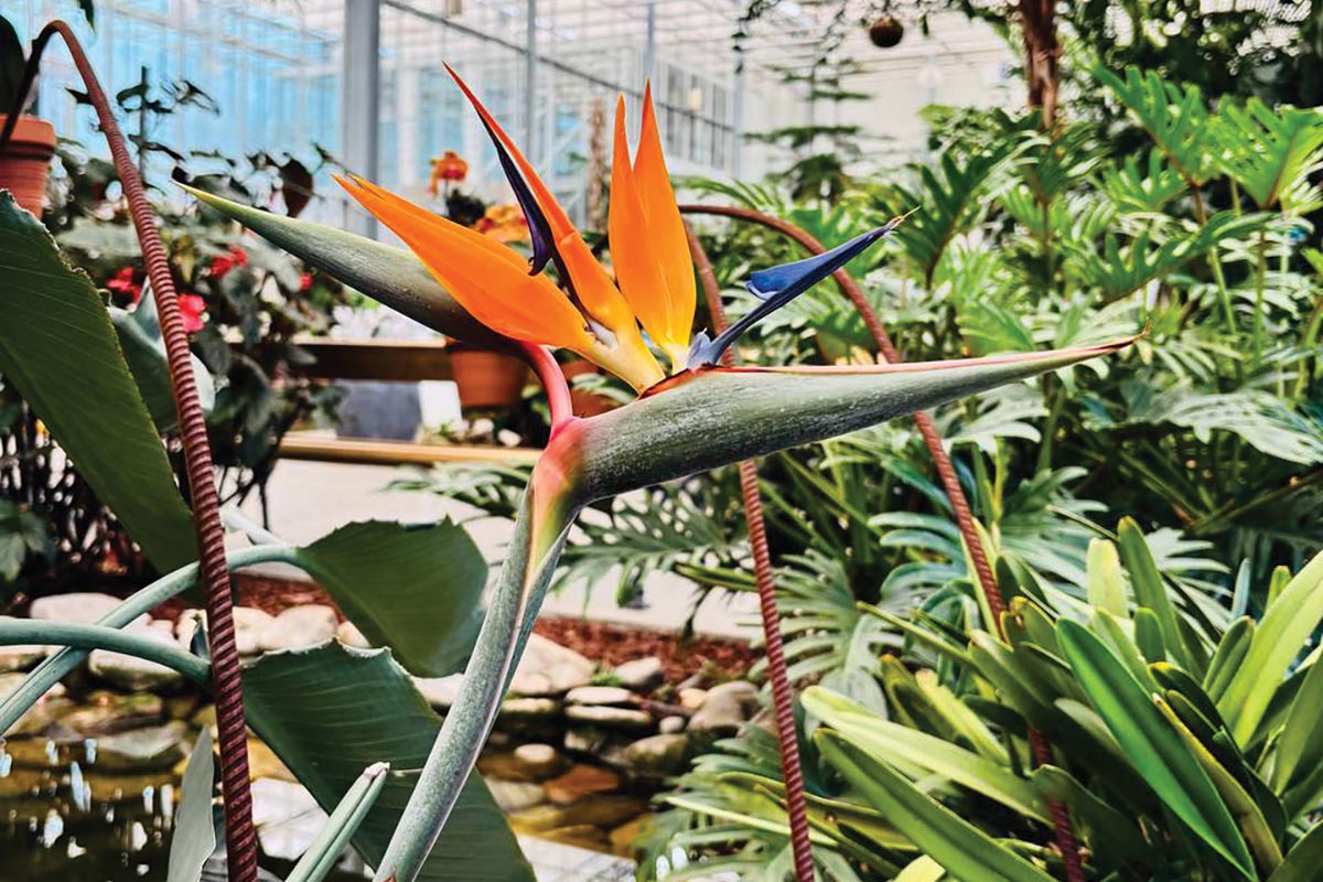 Slovinsko - Advent v lázních Moravské Toplice